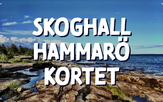 skoghall-hammaro.jpg